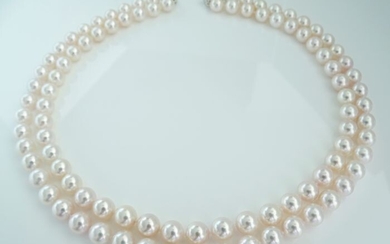 No Reserve Price - Akoya pearls, Premium 8.5 -9 mm Double-2-Strand - Necklace, 14 kt. White Gold