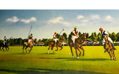 Original Vintage Linen Postcard, Polo Ponies, Sport In