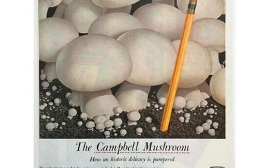 Pair of 1950's Campbell's Mushroom Soup Advertisements