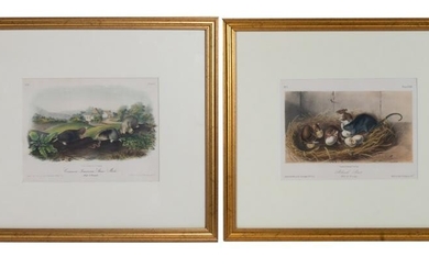 Pair of Audubon Prints, Shrew Mole & Black Rat