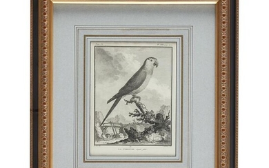 Pair of French ornithological prints, Circa 1777, From