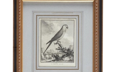 Pair of French ornithological prints circa 1777 From Buffon's...