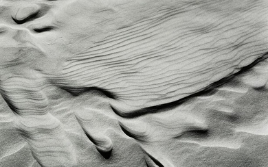 RICHARD GARROD - Dune, Oregon, c. 1979