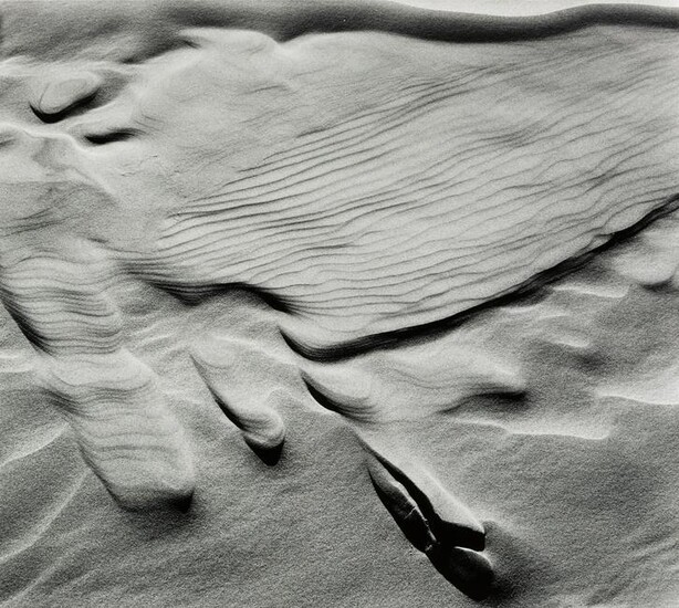 RICHARD GARROD - Dune, Oregon, c. 1979