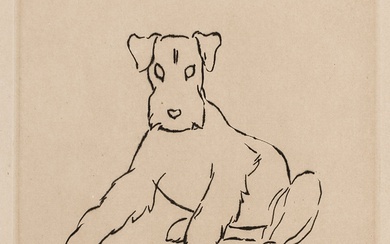 Sintenis, Renée. Fox-terrier assis ("Philippe"). Gravure sur papier. Signé en bas à droite. Dimensions de...