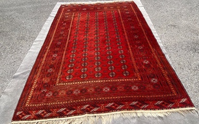 Turkmen Afghan - Carpet - 308 cm - 213 cm