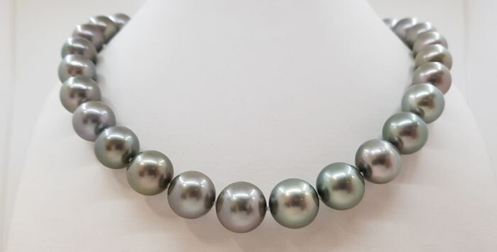United Pearl - 12x14.3mm Round Dove-Grey Peacock Tahitian Pearls - 14 kt. Yellow gold - Necklace