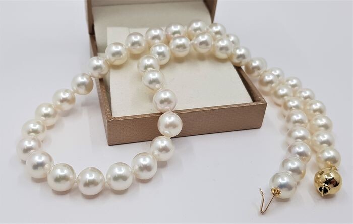 United Pearl - Top grade 8x9mm Akoya Pearls - 14 kt. Yellow gold - Necklace