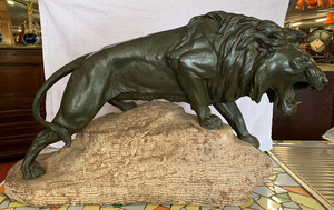 Very large sculpture depicting a roaring lion on a rock - antimony with green patina - 1900 circa