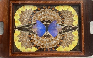 Vintage Deco Real Butterfly Wing Art Wood Inlaid Tray Iridescent Blue Brazil