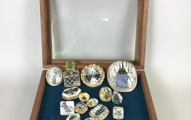 Sixteen Paper Insects Under Glass, various shapes and sizes, in display box, box ht. 3 1/2, wd. 8 1/2, dp. 6 1/2 in.