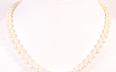 18KWG 5.5-11MM GRADUATED SOUTH SEA PEARL NECKLACE