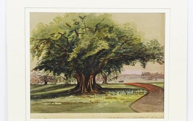 19th century, Anglo-Indian School, Watercolour, A study of a landscape with Banyan trees and a river