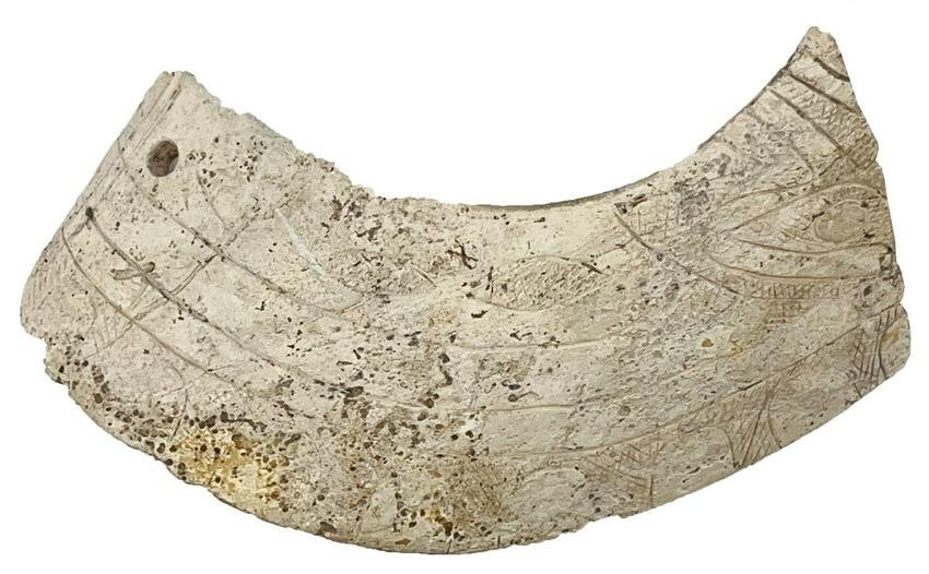 5 7/8" Heavily Engraved Shell "Collar". Spiro Mound. Ex-Dilley