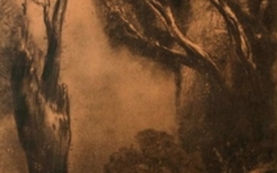 Odilon REDON (1840 1916) Femme nue dans la forêt e…