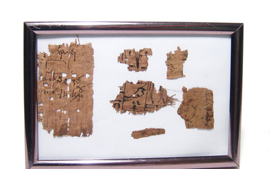 A framed group of ancient papyrus fragments