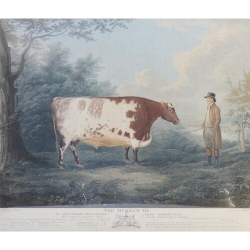 After John Boultbee (British, 1753–1812), 'The Durham Ox', ...
