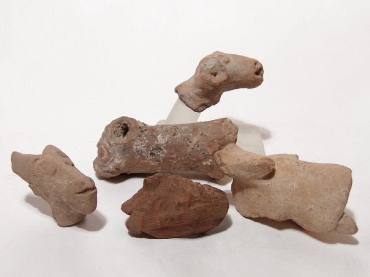 Ancient terracotta animal fragments from the Holy Land