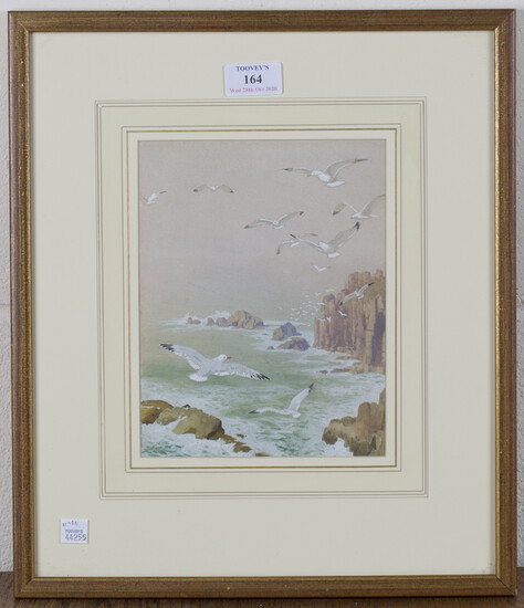 Attributed to Noel H. Hopking - Seagulls flying above a Rocky Coastline, watercolour with gouache, a