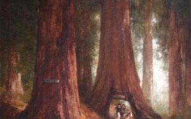 Thomas Hill oil painting of the world's largest trees