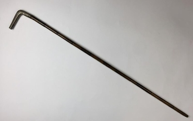 Cane with inner rapier