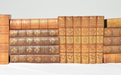 Collection of 20 European Leather Books #1