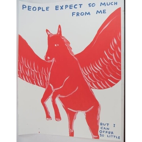 David Shrigley OBE (b. 1968) - 'People expect so much from ...
