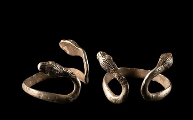 Egyptian Silver Double-Headed Snake Ring