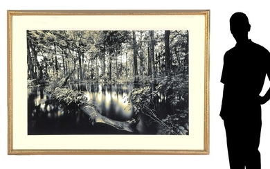 LARGE FORMAT CLYDE BUTCHER FLORIDA PHOTOGRAPH OF RIVER