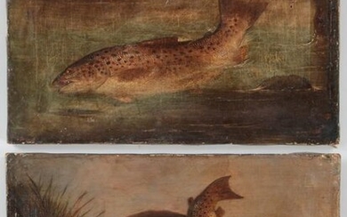 Pair of fish paintings (British School, 19th century)