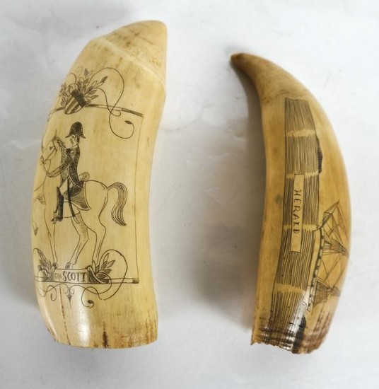 Scrimshaw Tooth Carvings - "Herald" & "Gen. Scott"