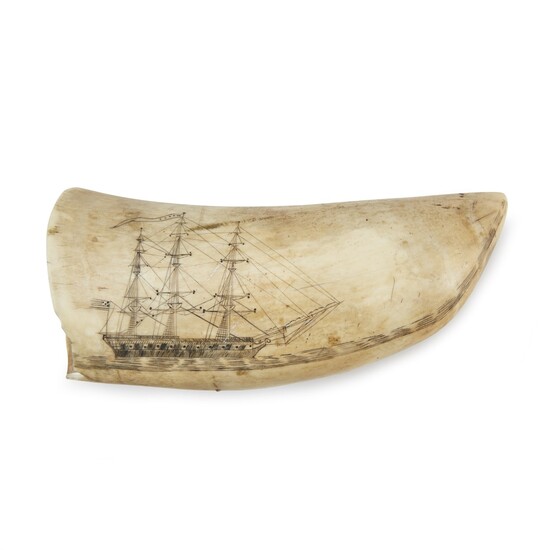 Scrimshaw whale's tooth 19th century