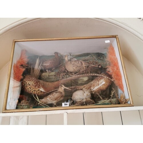 Taxidermy pheasant, woodcock, rabbit and mouse mounted in a ...