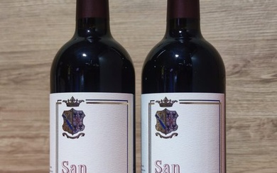 2013 Tenuta San Leonardo, San Leonardo - Trentino Alto Adige - 2 Bottles (0.75L)