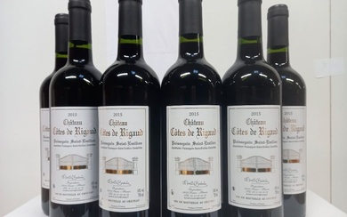 6 bouteilles de Puisseguin Saint Emilion... - Lot 65 - Enchères Maisons-Laffitte