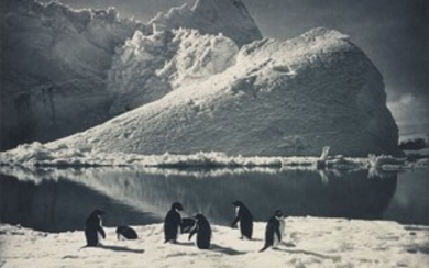 Herbert Ponting, Penguins and Iceberg, Antartica