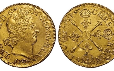 Louis XIV. Double Louis d'or aux Insignes 1704 A. …