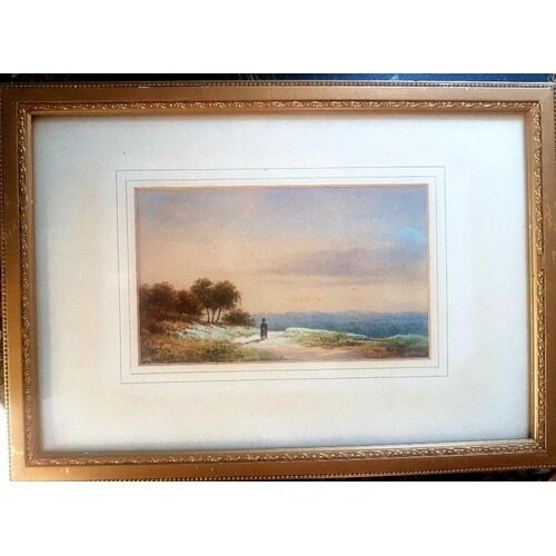 A pair of well executed Victorian watercolours measuring 14 ...