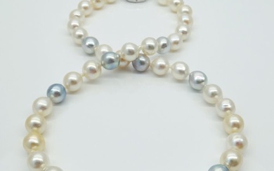 Akoya Pearls, Natural Candy Colors, 8.5 -9 mm - Necklace Silver