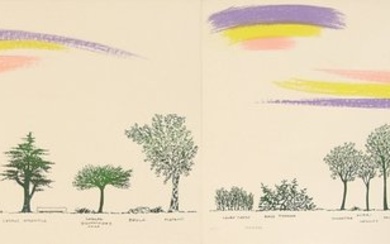 Bruno Munari (1907-1998) - Un viale di alberi diversi XL