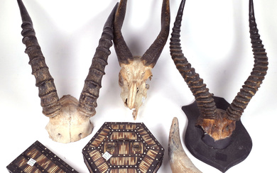 COLLECTABLES INCLUDING, TWO SETS OF MOUNTED HORNS (QTY)