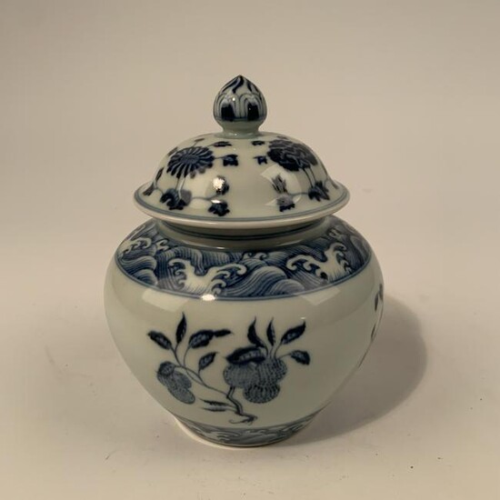 Chinese Ming Blue and White Jar