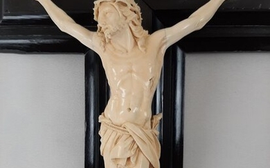 Christ, Corpus Christ (large format) - Ivory, Wood - Late 19th century
