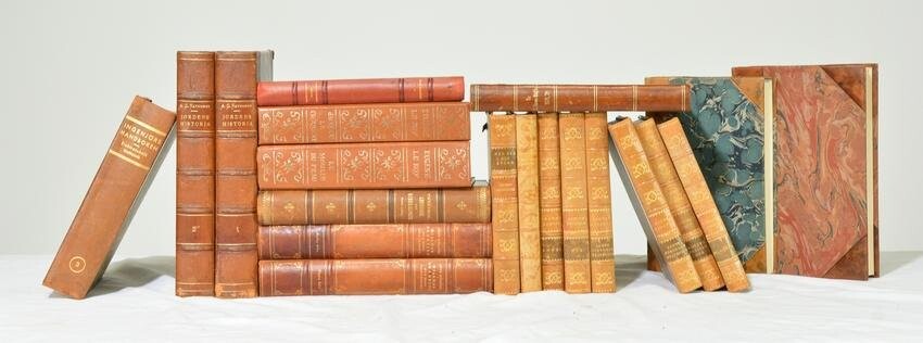 Collection of 20 European Leather Books #2