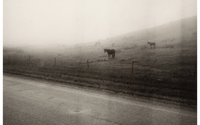 Danny Lyon (b. 1942), Untitled (Highway Horses) (1998)