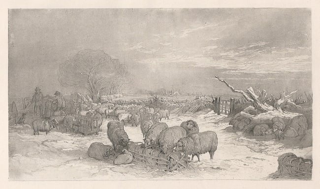 EDWARD DUNCAN 1800s Antique Print WINTER , SHEEP FEEDING Framed