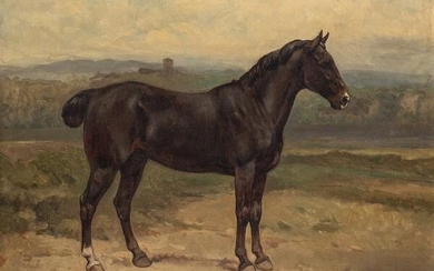 ENRICO COLEMAN (Rome, 1846 - 1911): Horse