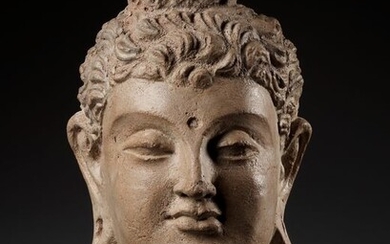 Gandhara Terracotta A RARE AND IMPORTANT (34 cm without stand ) TERRACOTTA HEAD OF BUDDHA SHAKYAMUNI - 34×28.5×21 cm - (1)