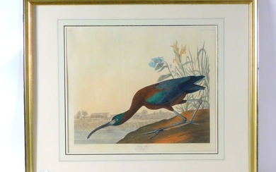 John James Audubon, 1785 to 1851 hand colored