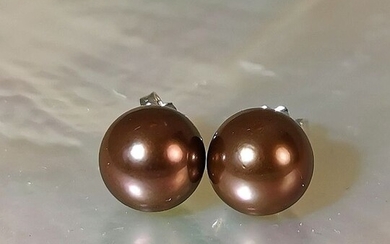 #LOW RESERVE PRICE# - 18 kt. Brown south sea pearls, Saltwater pearls, Tahiti pearls, White gold, Huge Chocolate round Ø 11,6 mm - Earrings